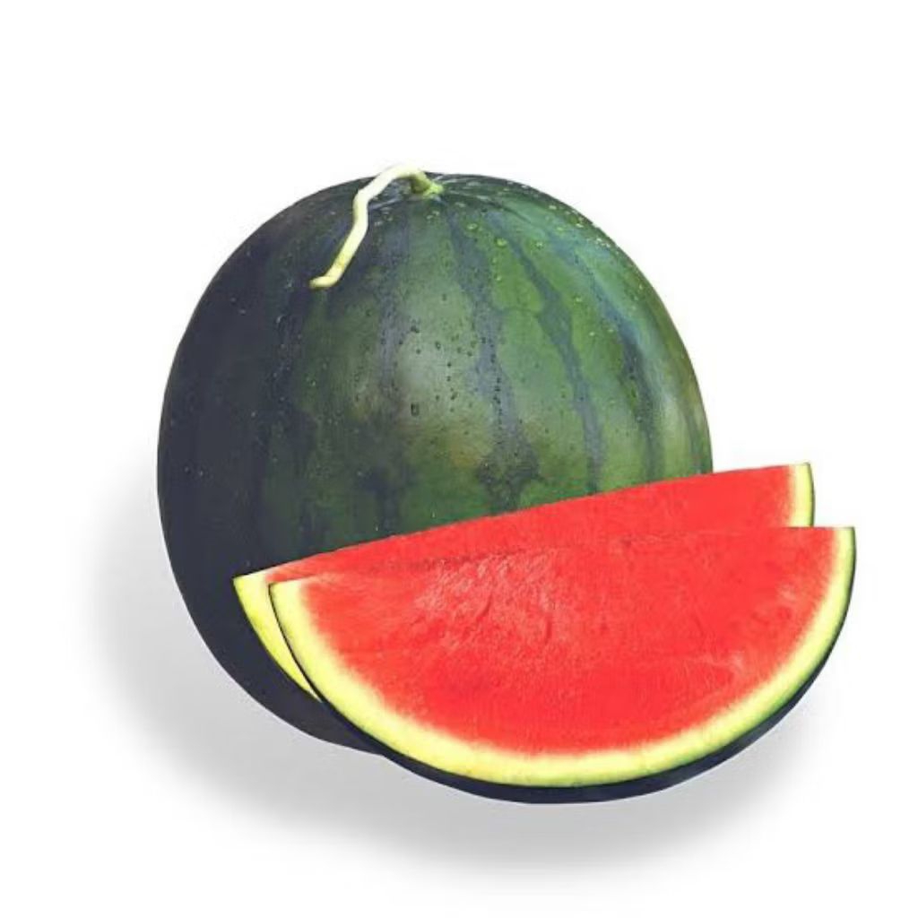 Biji benih semangka non biji madrid