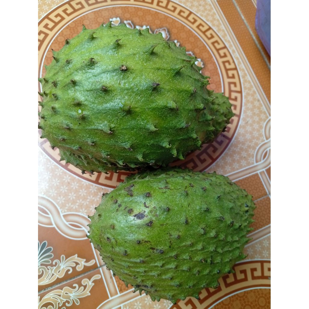 

buah sirsak