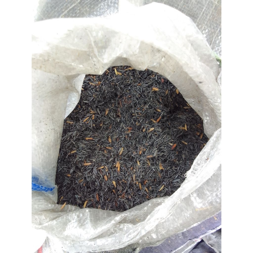 Jivara56 Sekam Bakar Sekarung