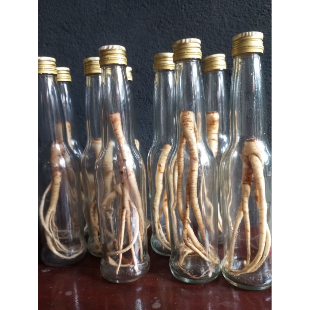 

ginseng korea botol 300ml tanpa isi