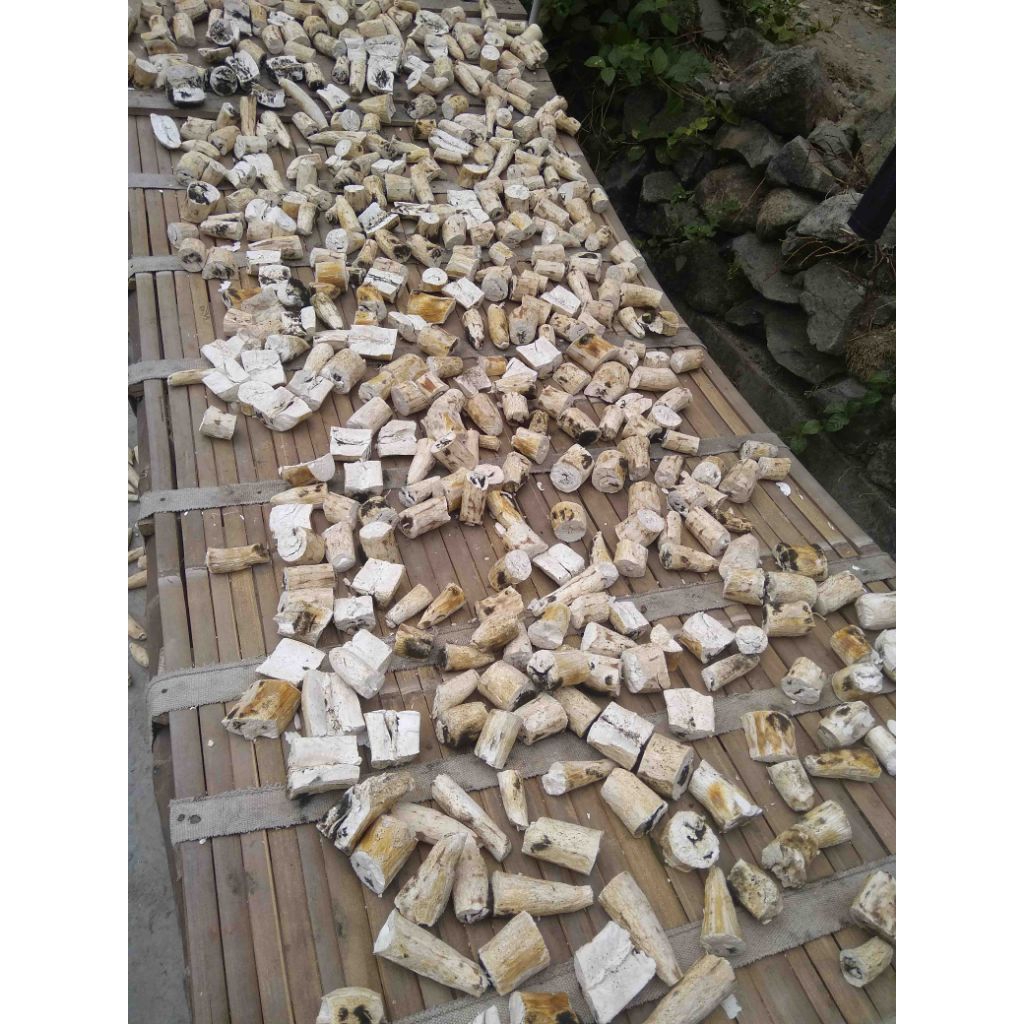 

gaplek telo atau ubi singkong kering 1kg