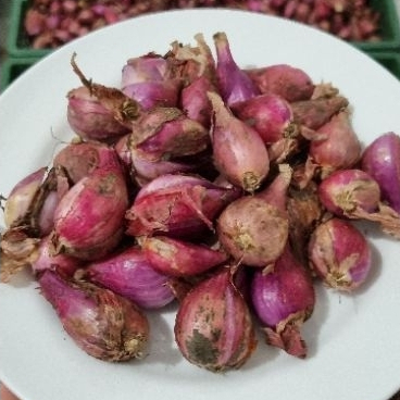 

Bawang Brebes Asli Grade Super Bogor 100gr