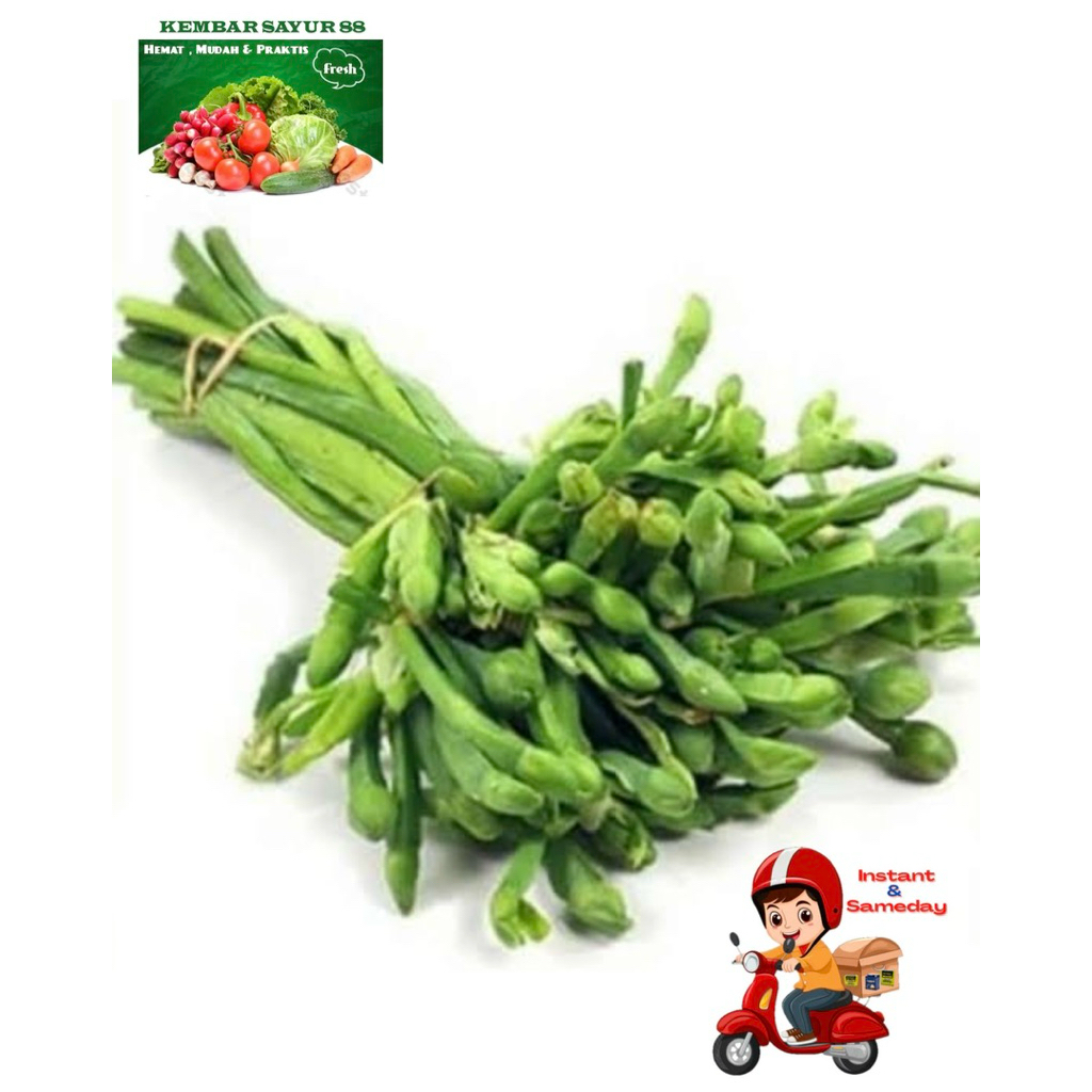 

Genjer Sayur 1 ikat - Kembarsayur88