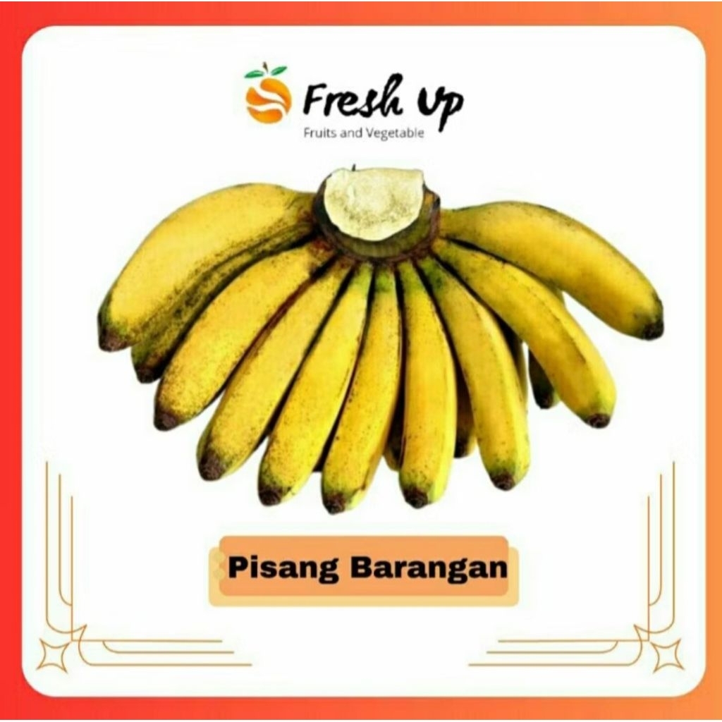

Pisang Barangan Super 1 Sisir