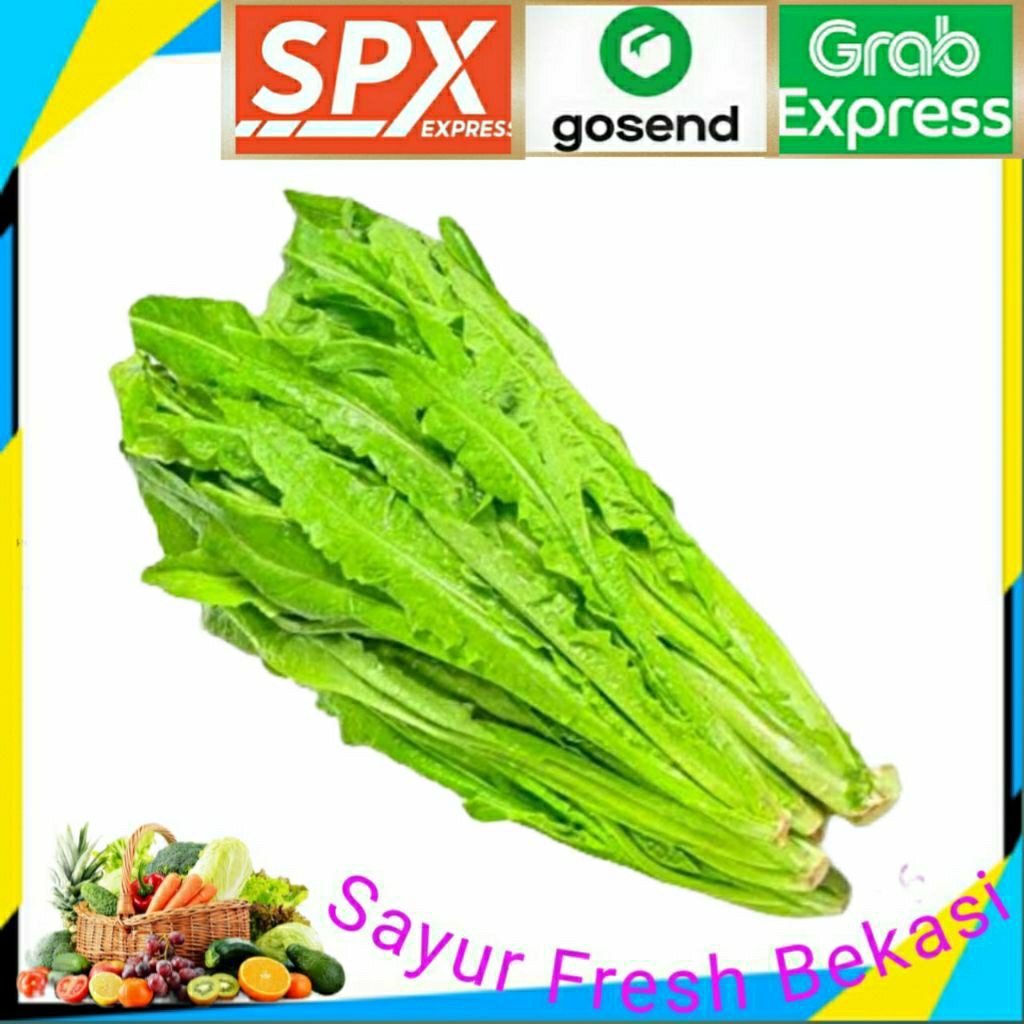 

Siomak Segar 1 ikat.