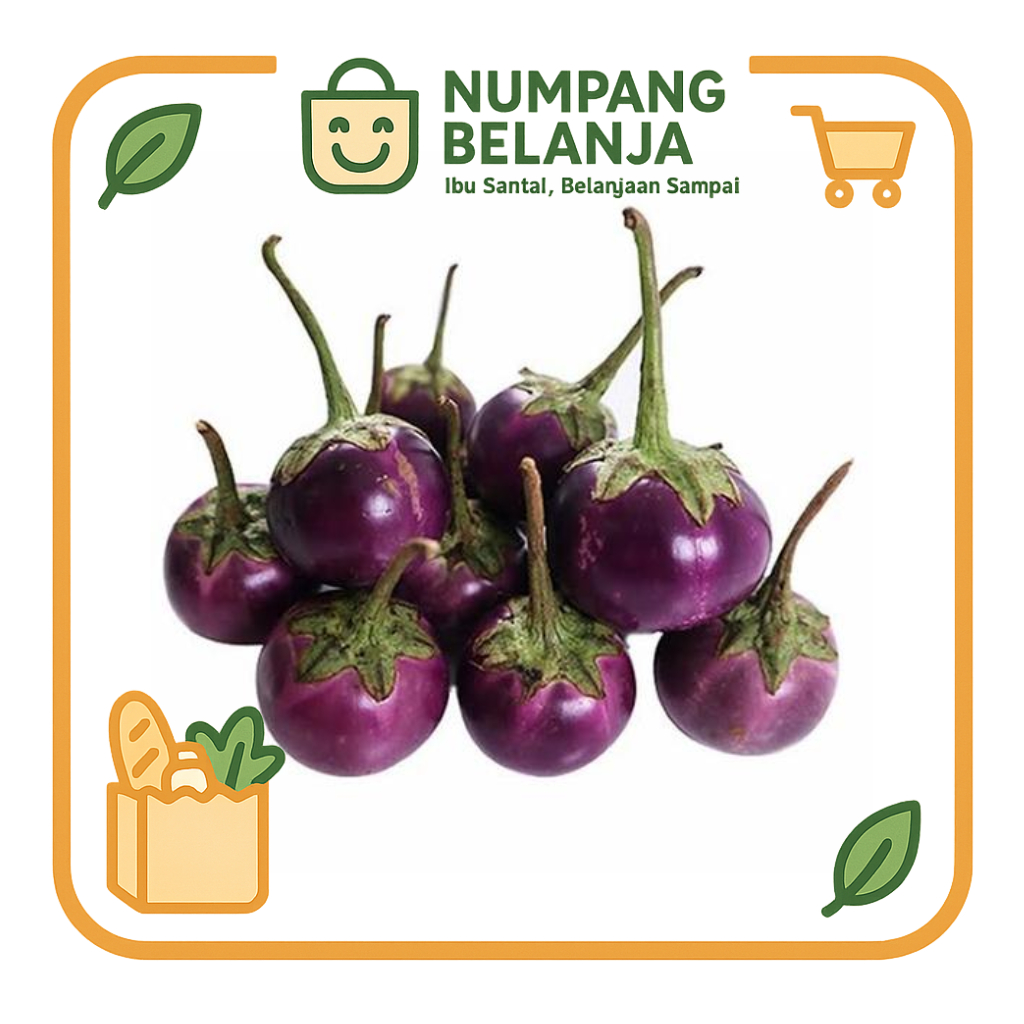 

terong bulat ungu lalap [250g]