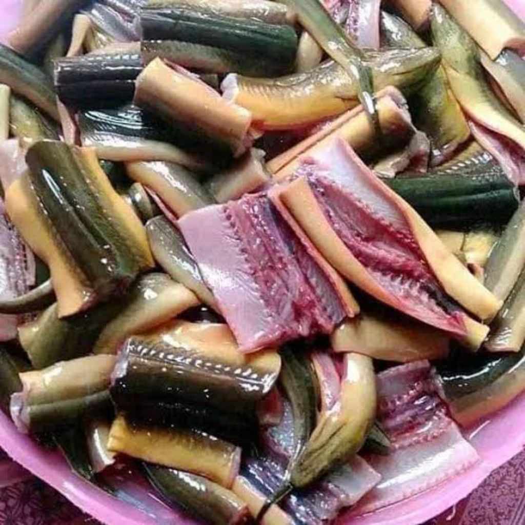 

Belut Fresh (Seafood Segar / ikan Segar)