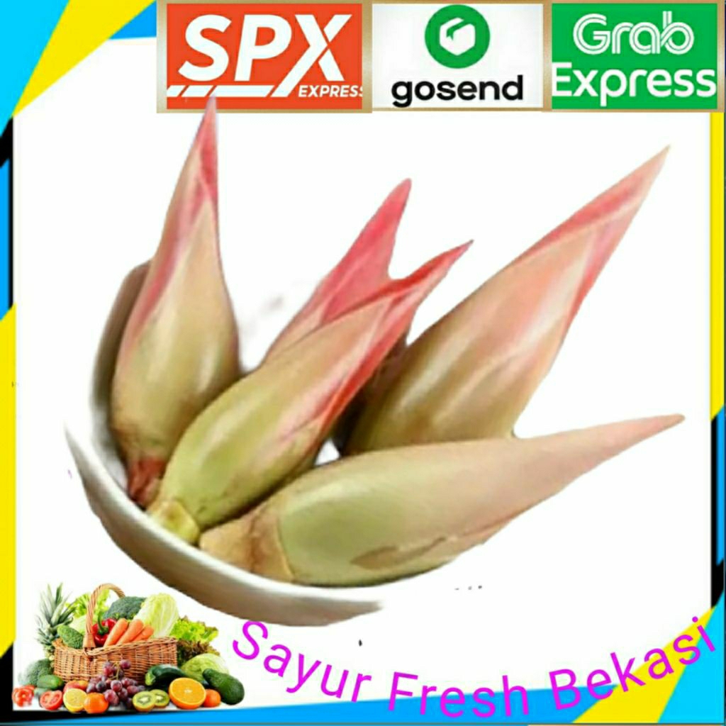 

Kecombrang Merah 250g.