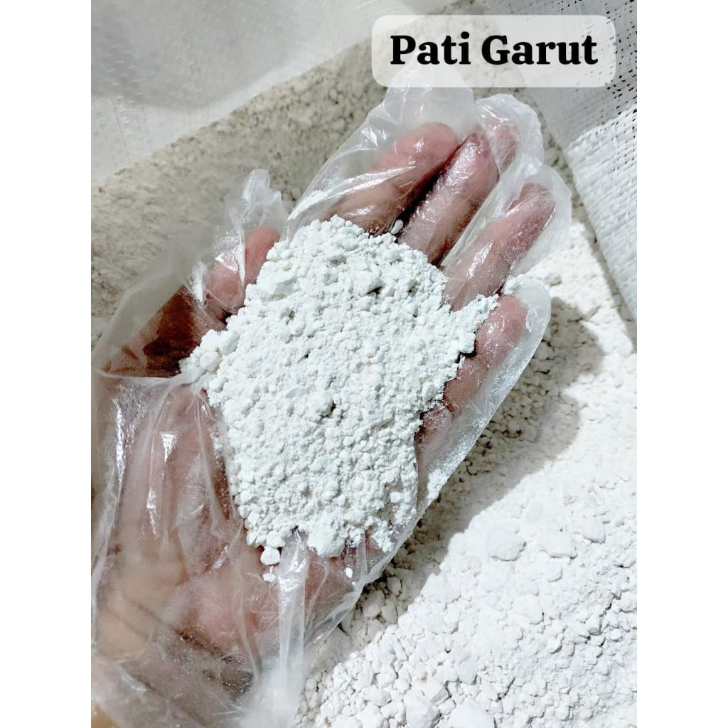 

Tepung Garut / Obat alami sakit mag