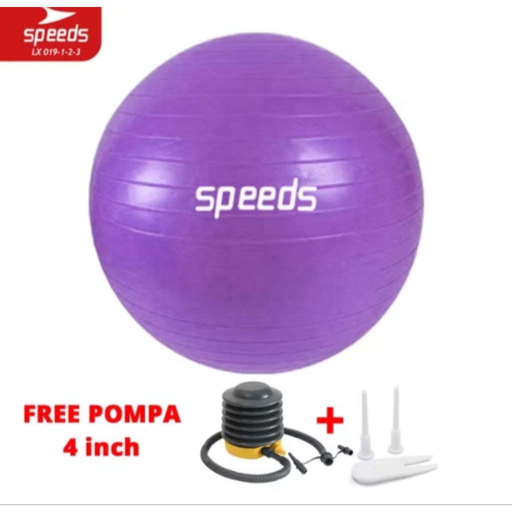 gym ball bola senam ibu hamil