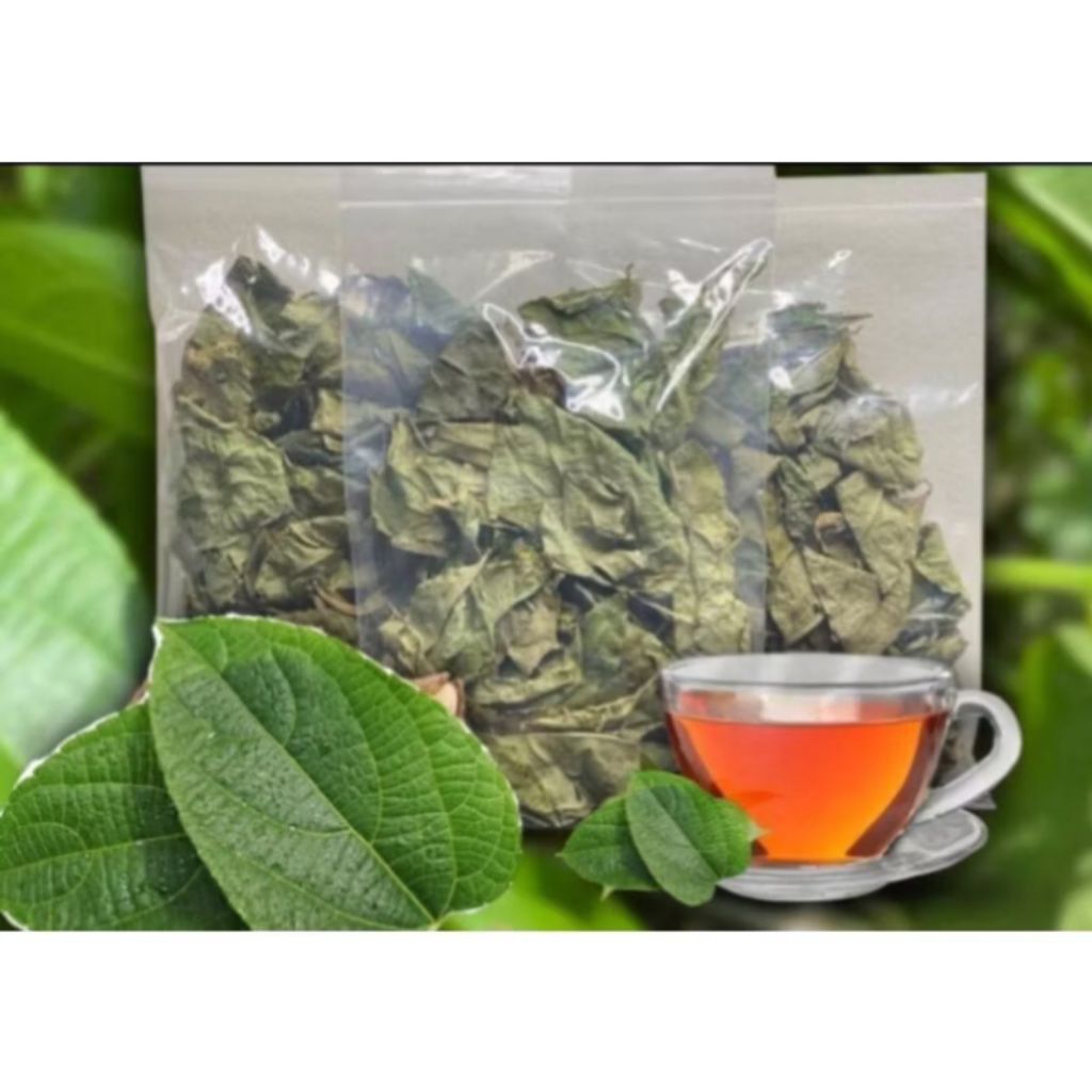 

Daun sahca inchi kering 100 gram