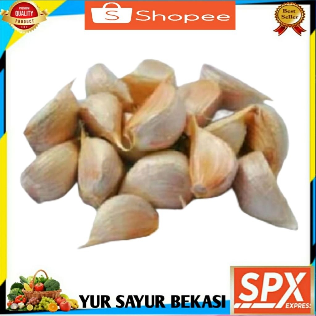 

Bawang Putih Kating.