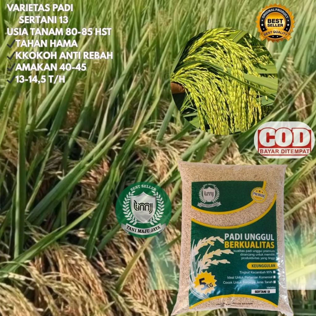 BIBIT PADI BENIH PADI UNGGUL VARIETAS SERTANI 13 KEMASAN 5 KG