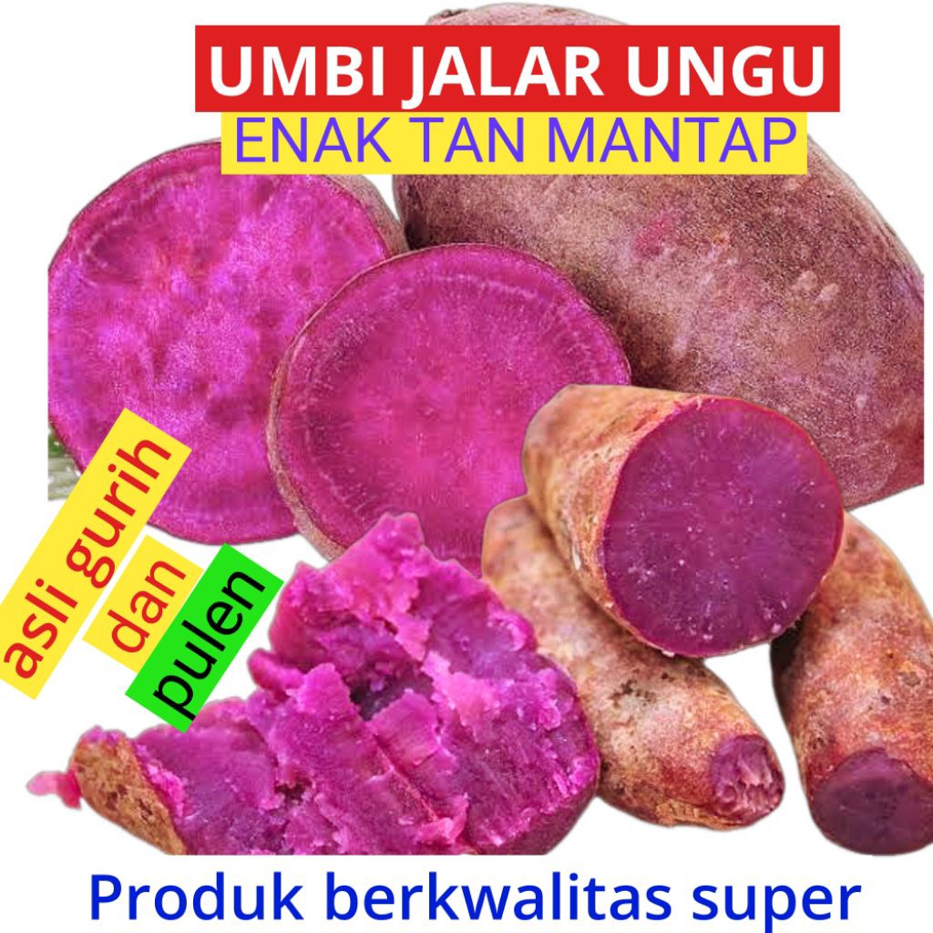 

UMBU UNGU 1KG/ UMBI JALAR ORGANIK
