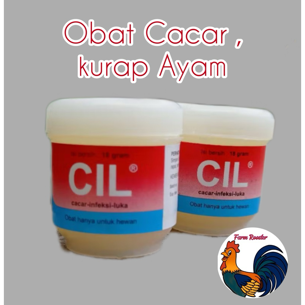 salep Cacar, Kurap Ayam