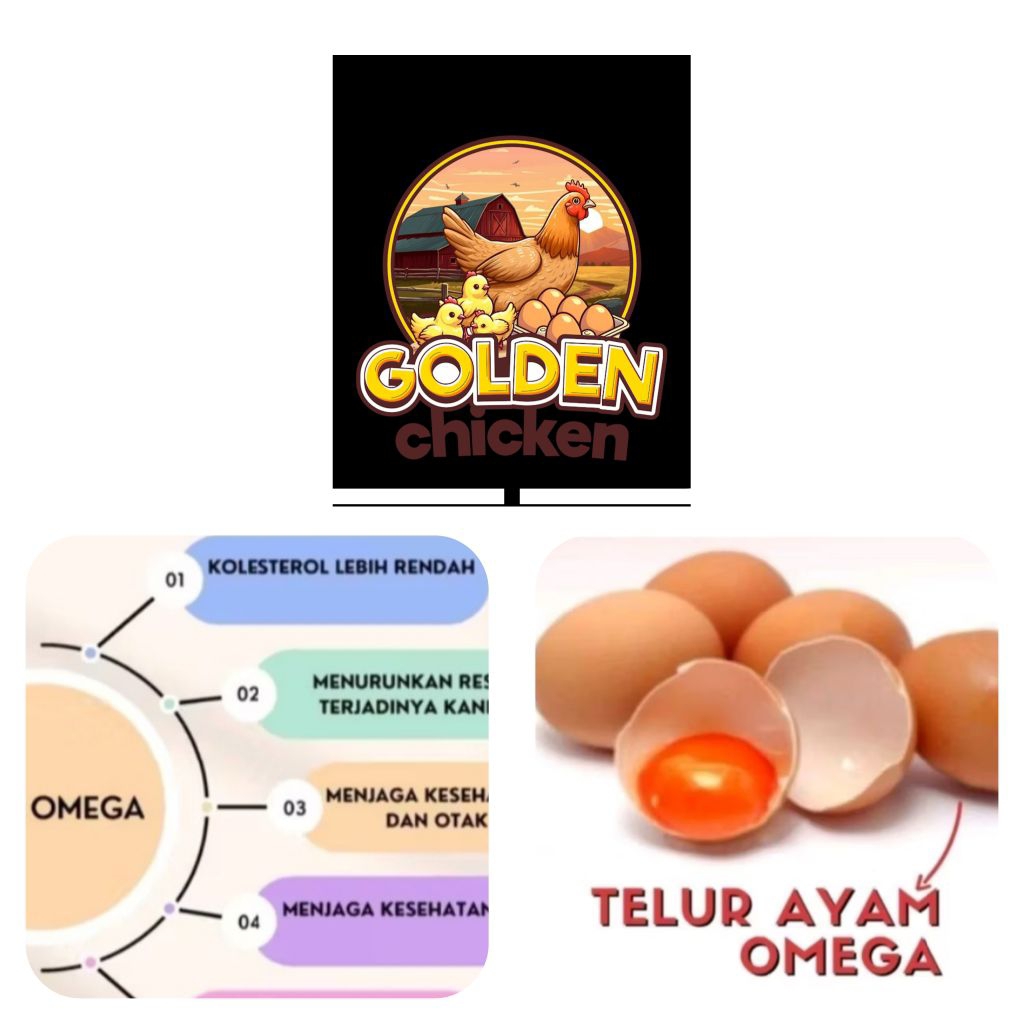 

Telur omega3 1kg (isi 15-26 butir)