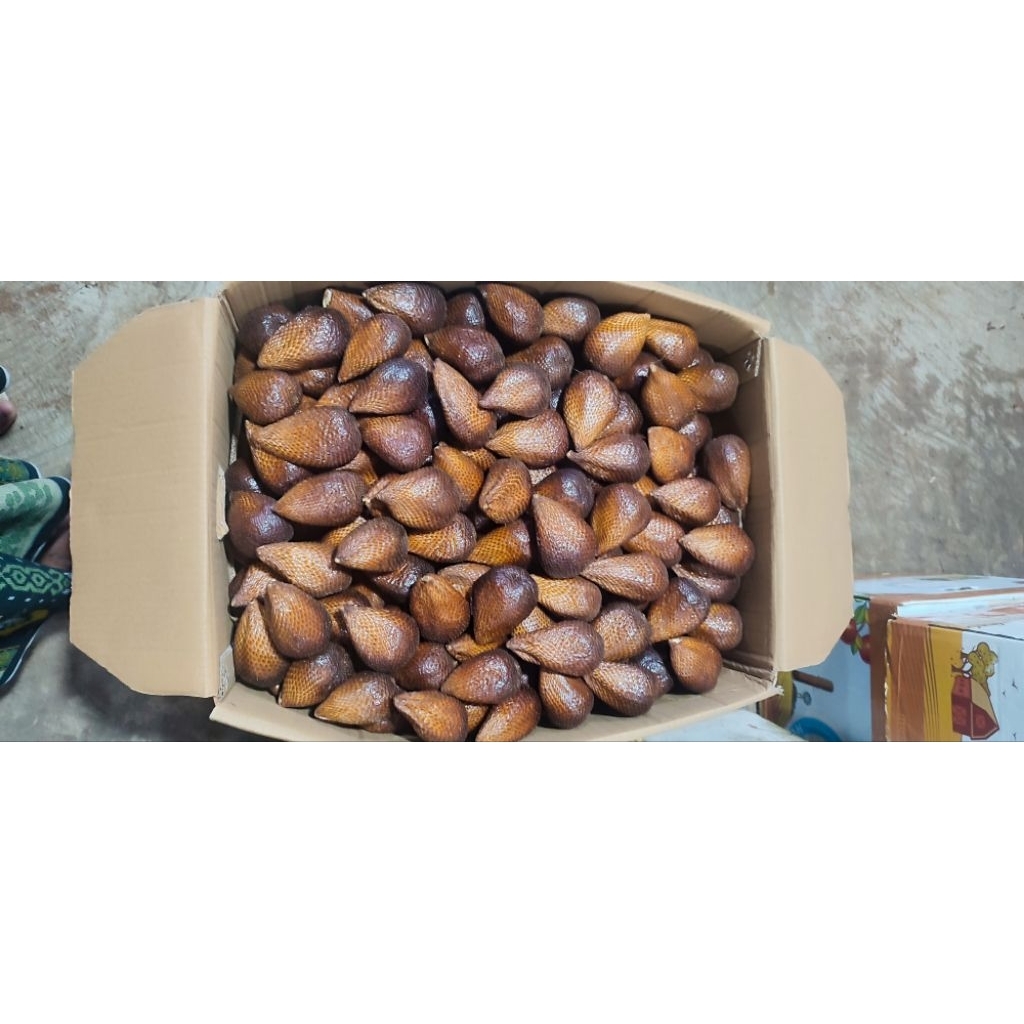 

Salak Pondoh Manis Asam