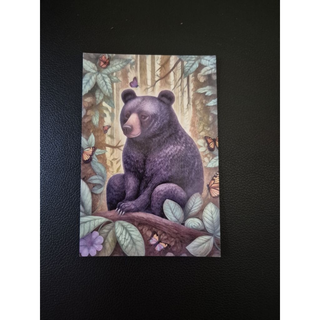 

kartu pos beruang/bear postcard