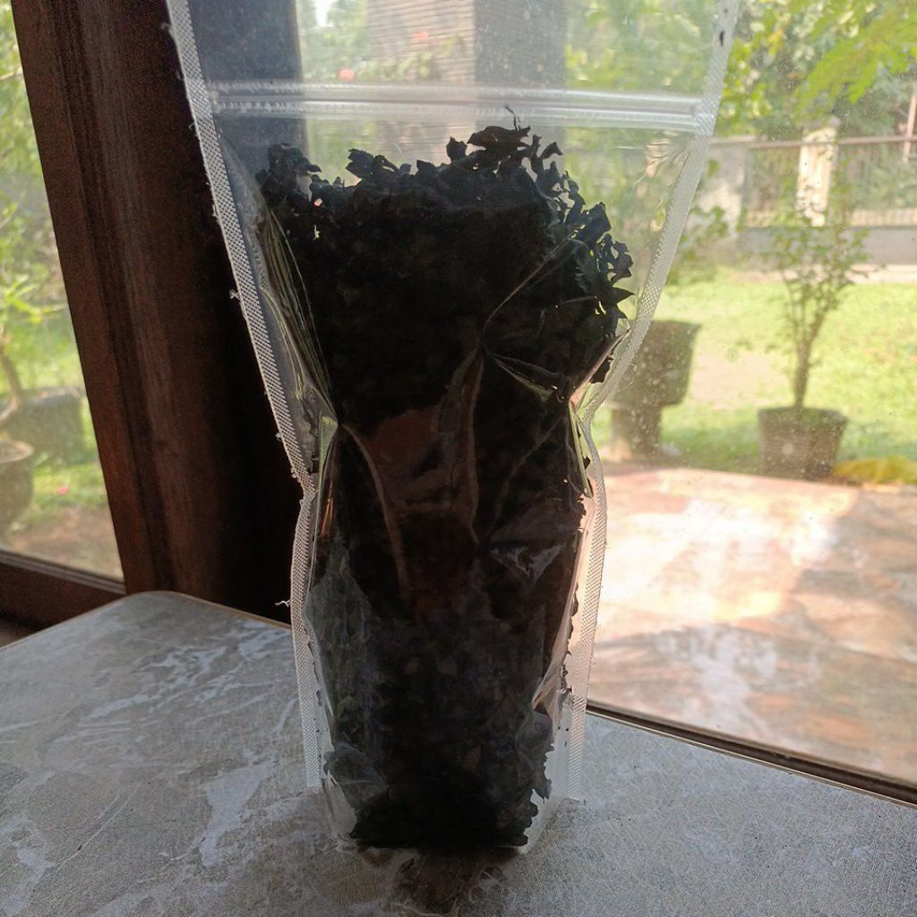 

Daun Ungu kering, Herbal wasir