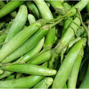 

Terong medan 500gr - 1Kg | JBP_Fresh