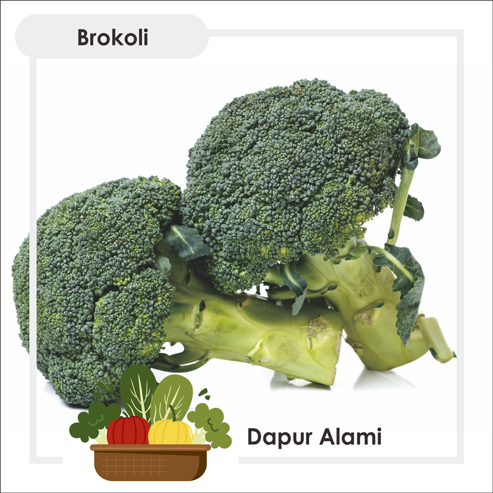 

Brokoli Segar Per 500 Gram - Sayur Jogja