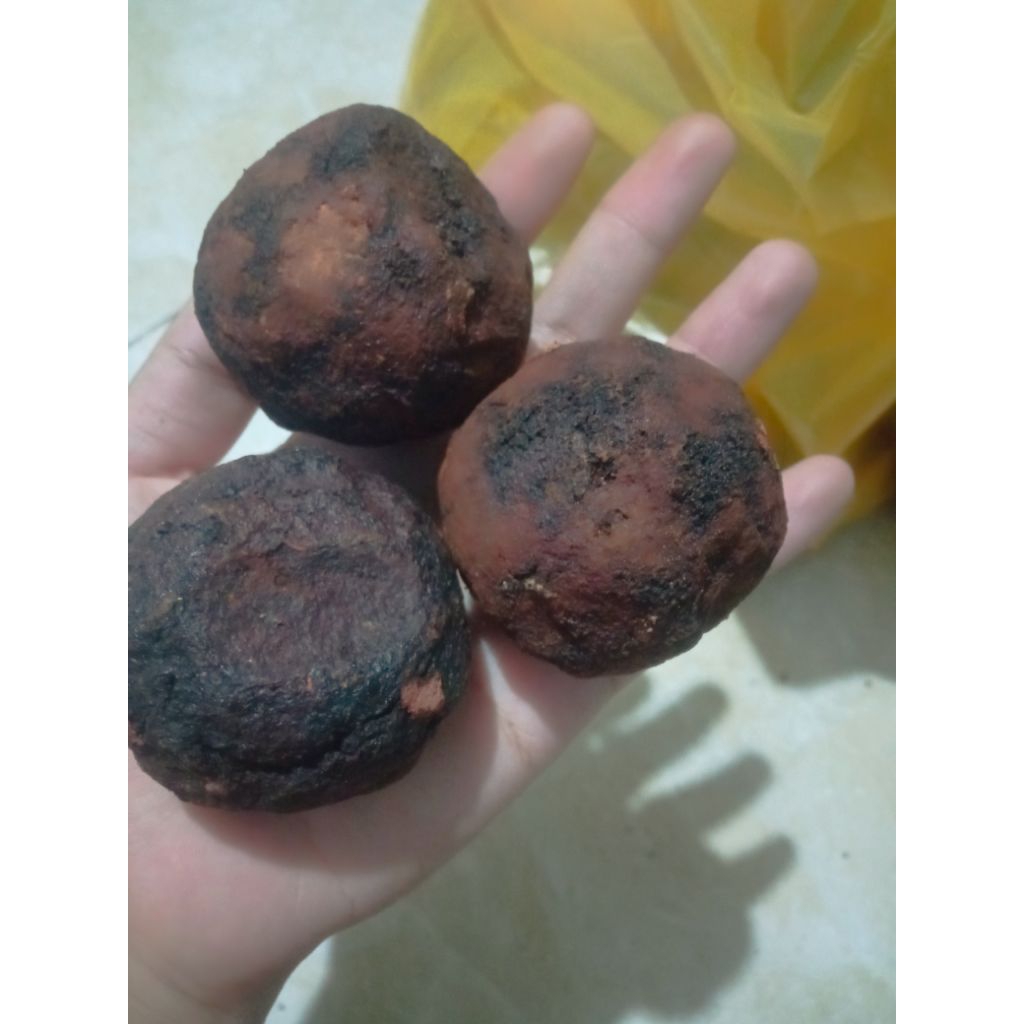 

Gambir organik maha bunga/getah gambir