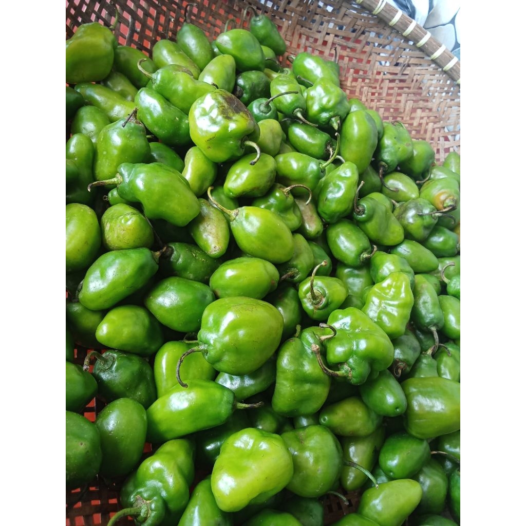 

cabe gendot/cabe bendot