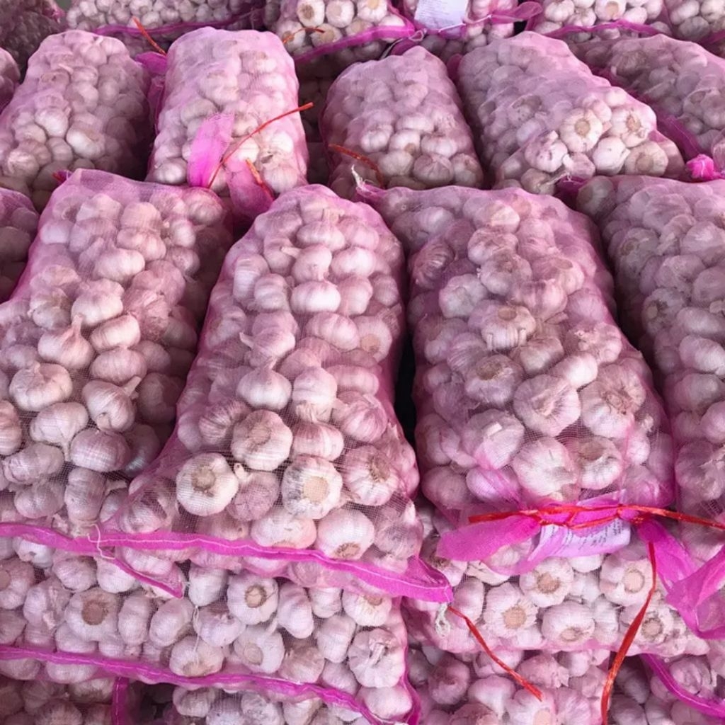 

Bawang Putih Berkualitas Karungan / perball 20kg Brebes Grosir Murah