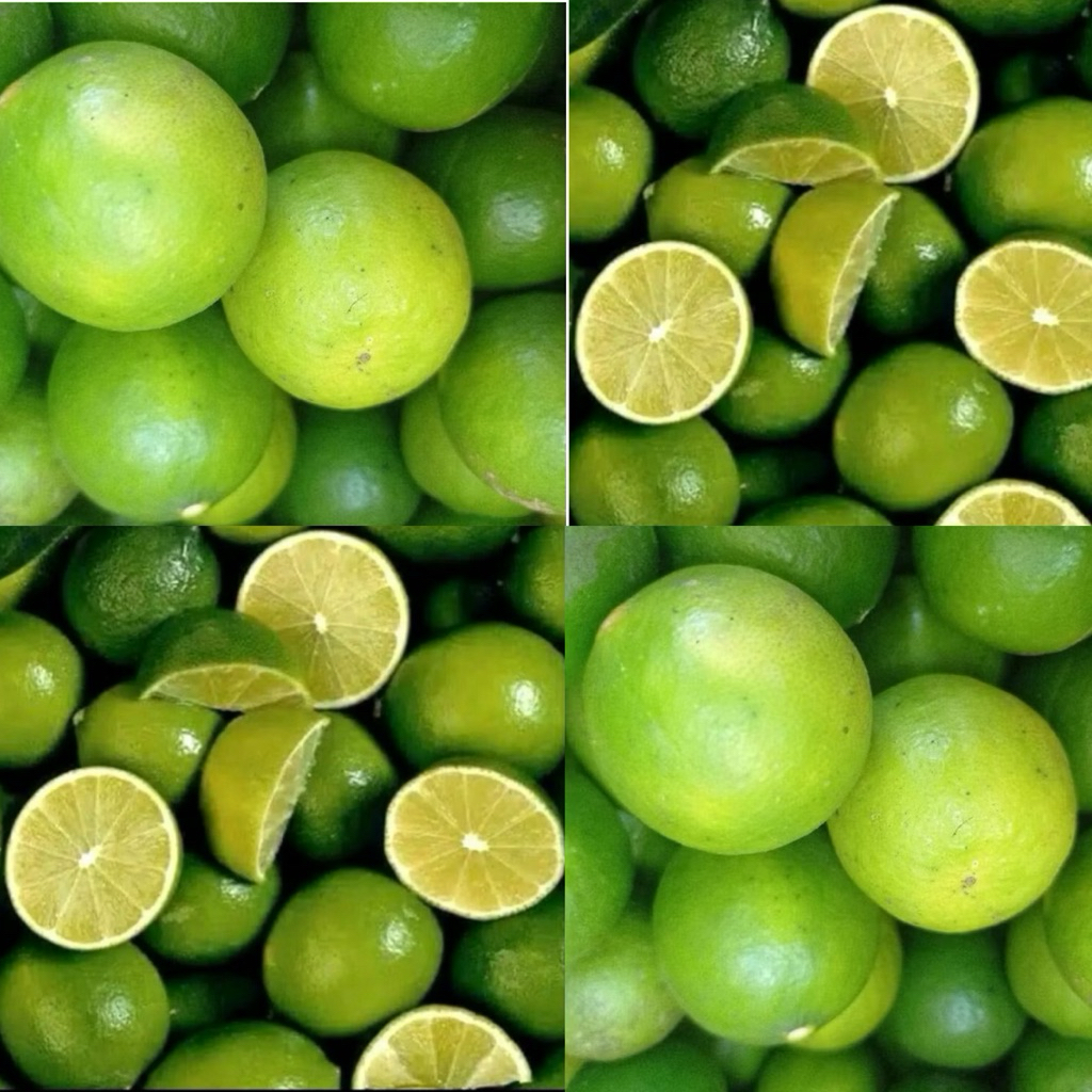 

Jeruk 1 Kg Segar | Jeruk Nipis |