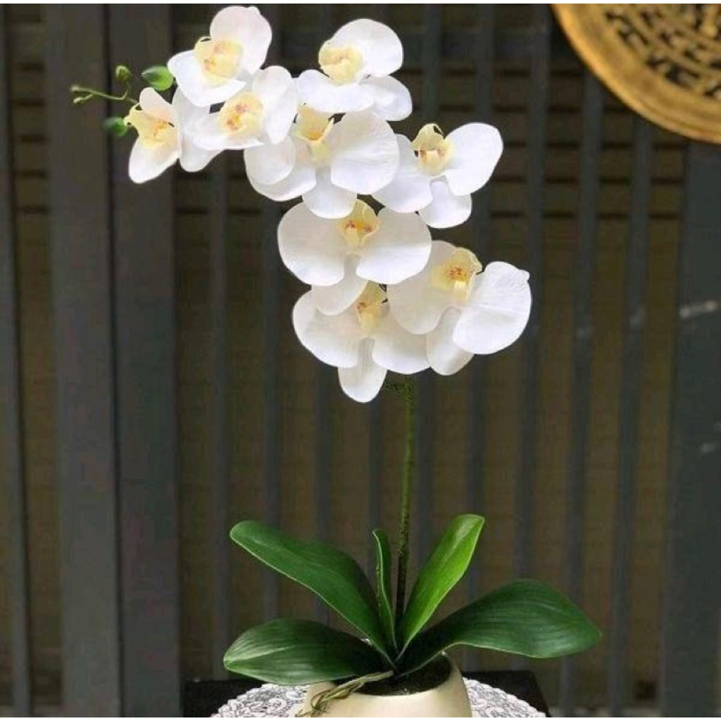 Bunga Anggrek Artificial / Artificial Bunga Anggrek 1 Tangkai/ Bunga Anggrek 1 Tangkai / Bunga Palsu