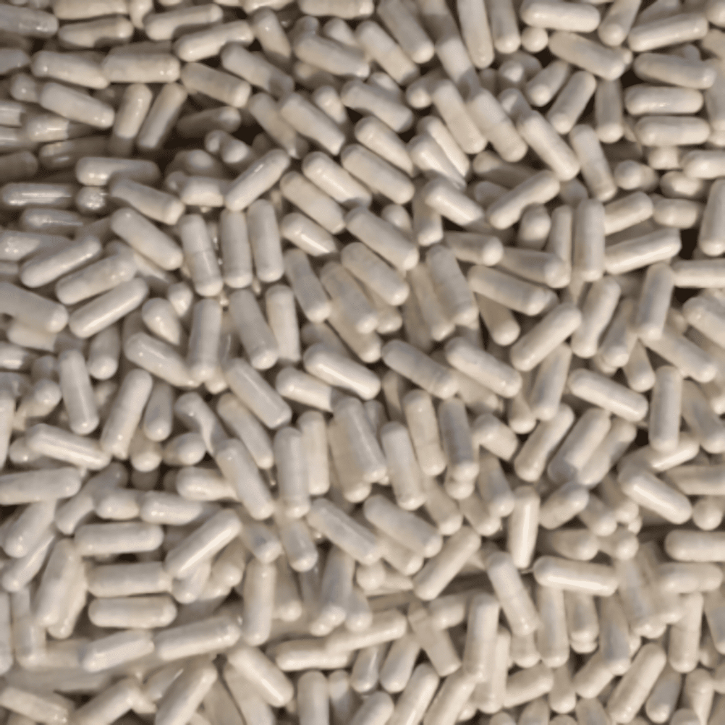 1 KAPSUL PRO ALBUMIN - Obat Luka Kucing Obat Luka Dalam Kucing Obat Kucing Lemas Tertabrak Obat Pend