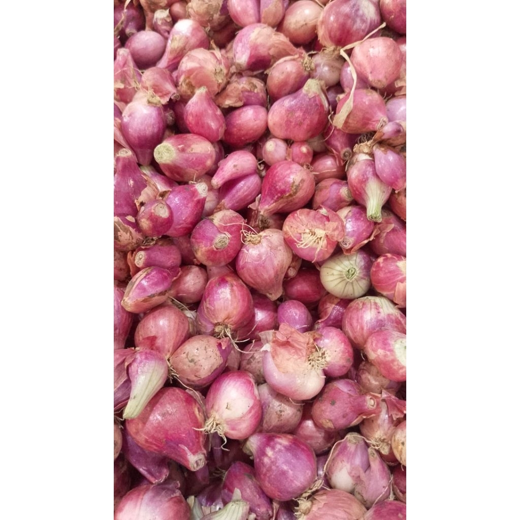 

bawang merah sedang 500g 1000g