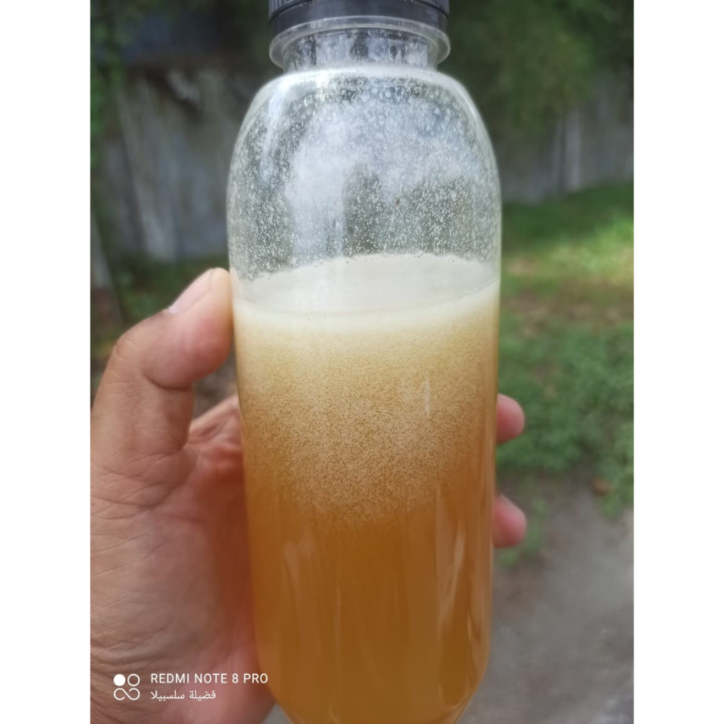 

Madu hutan apiss dorsata Madu Trigona Itama Madu Murni Madu Asli 1kg dan 500g