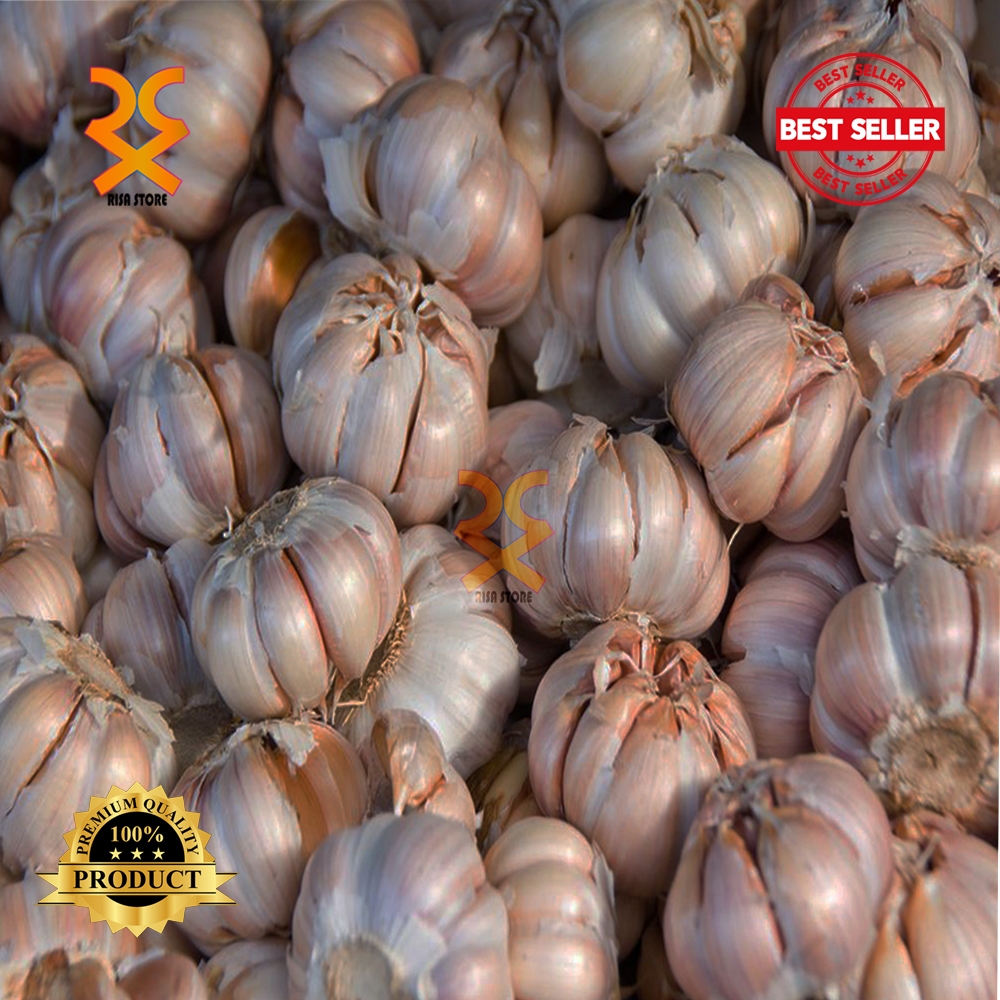 

Bawang Putih 1Kg / Bawang Putih Biasa 1kg Berkualitas / Bawang Putih Murah 1kg Berkualitas / Bawang Putih Honan / Bawang Putih Sinco