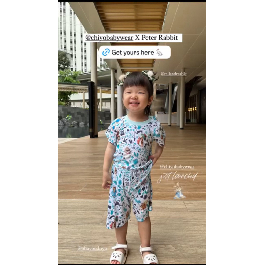 Set Oblong Peter Rabbit Chiyo (Preloved)