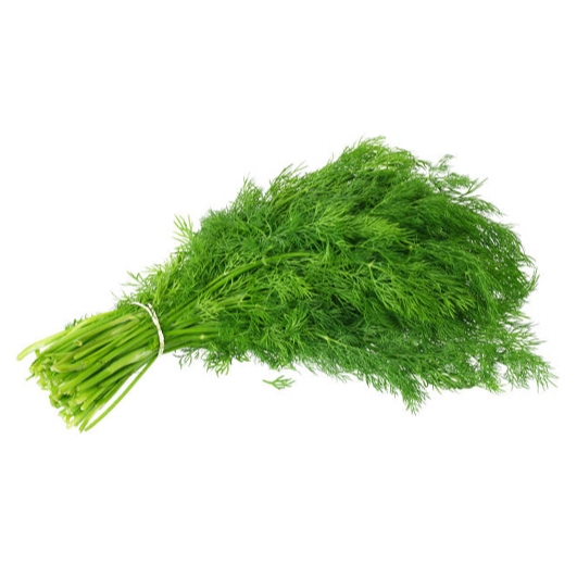 

Daun Dill / Daun Dill Segar / Daun Dill Fresh / Dill / Dil / Adas Sowa / Adas Manis / 1 Kg