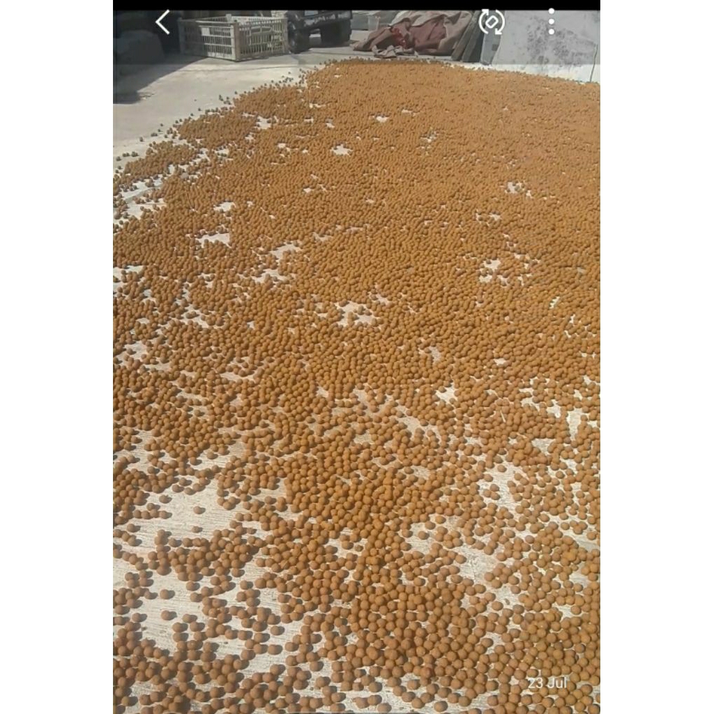 JAMU GIRING KEKET ASLI HERBAL ISI 50-120 BUTIR extrak rempah rempah herbal alami jamu merpati giring