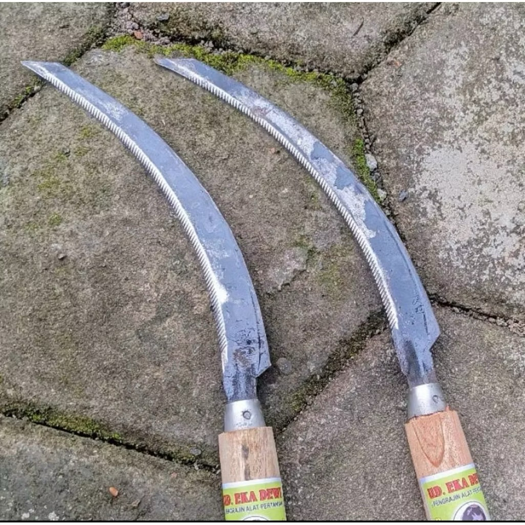 ARIT PADI SAWAH MANUAL GERGAJI BESI ALAT UNTU PEMOTONG PADI MURAH