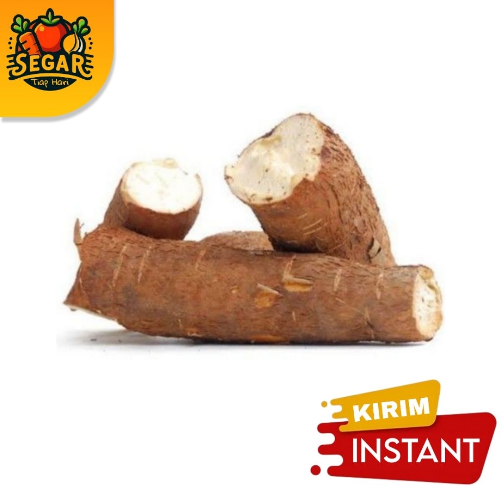 

SEGAR TIAP HARI | SINGKONG - 1KG