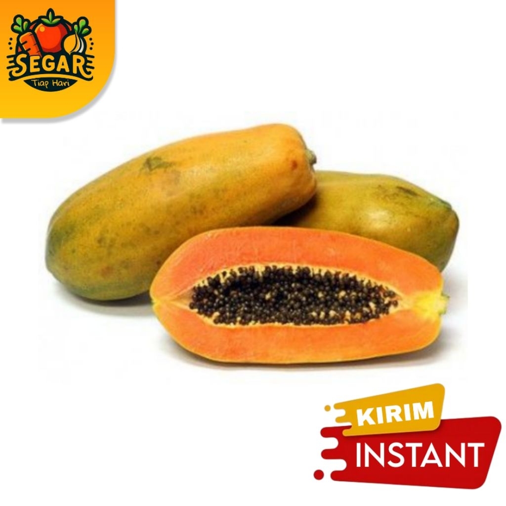 

SEGAR TIAP HARI | PEPAYA