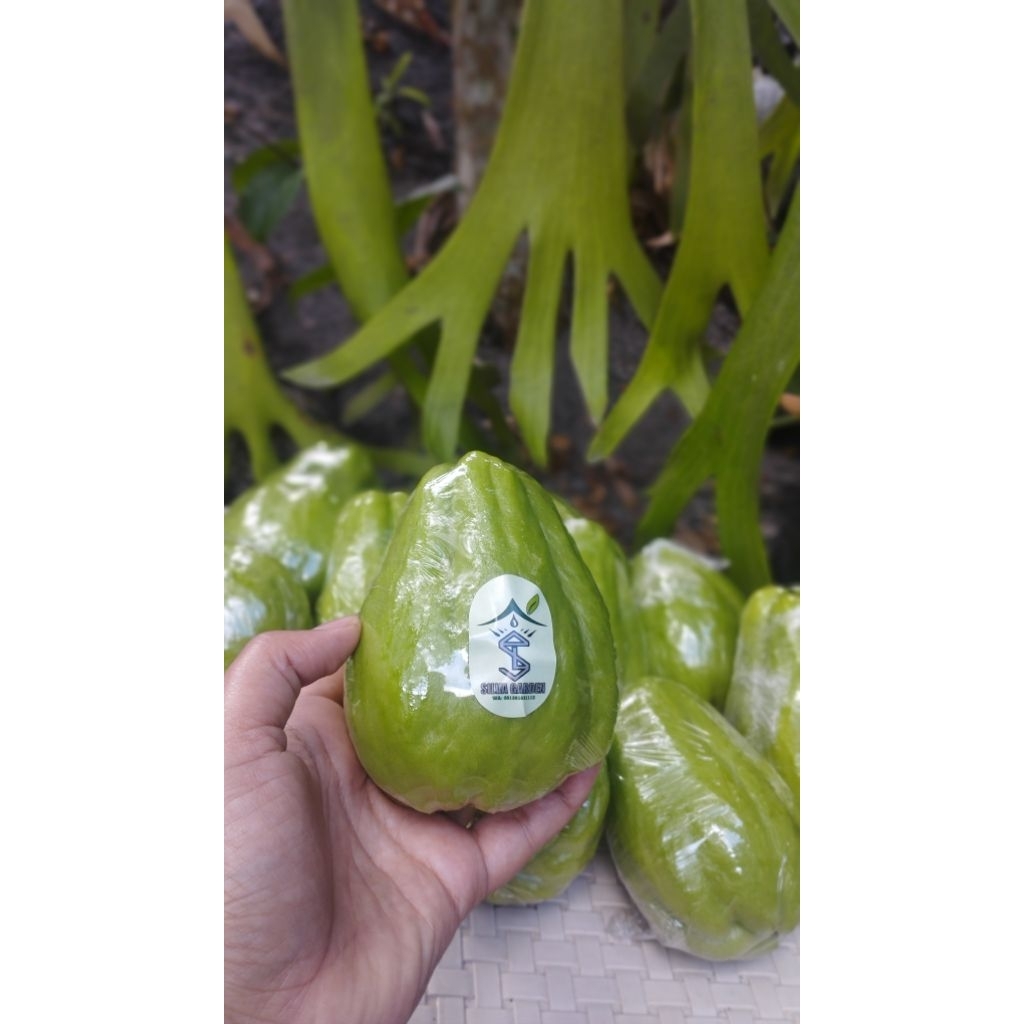 

Jipang(Labu Siam) 1kg 4-5buah