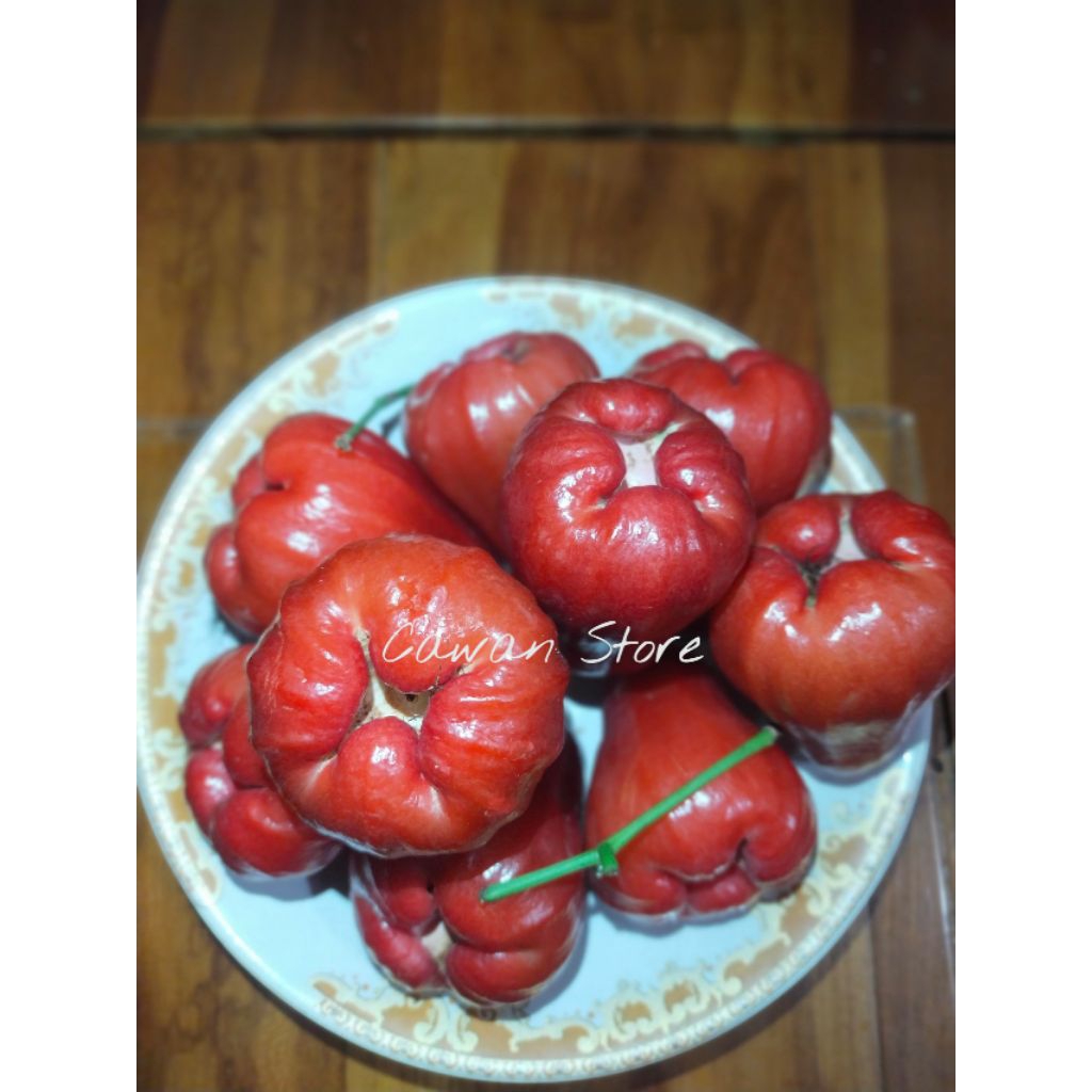 

Jambu Citra Fresh 1kg