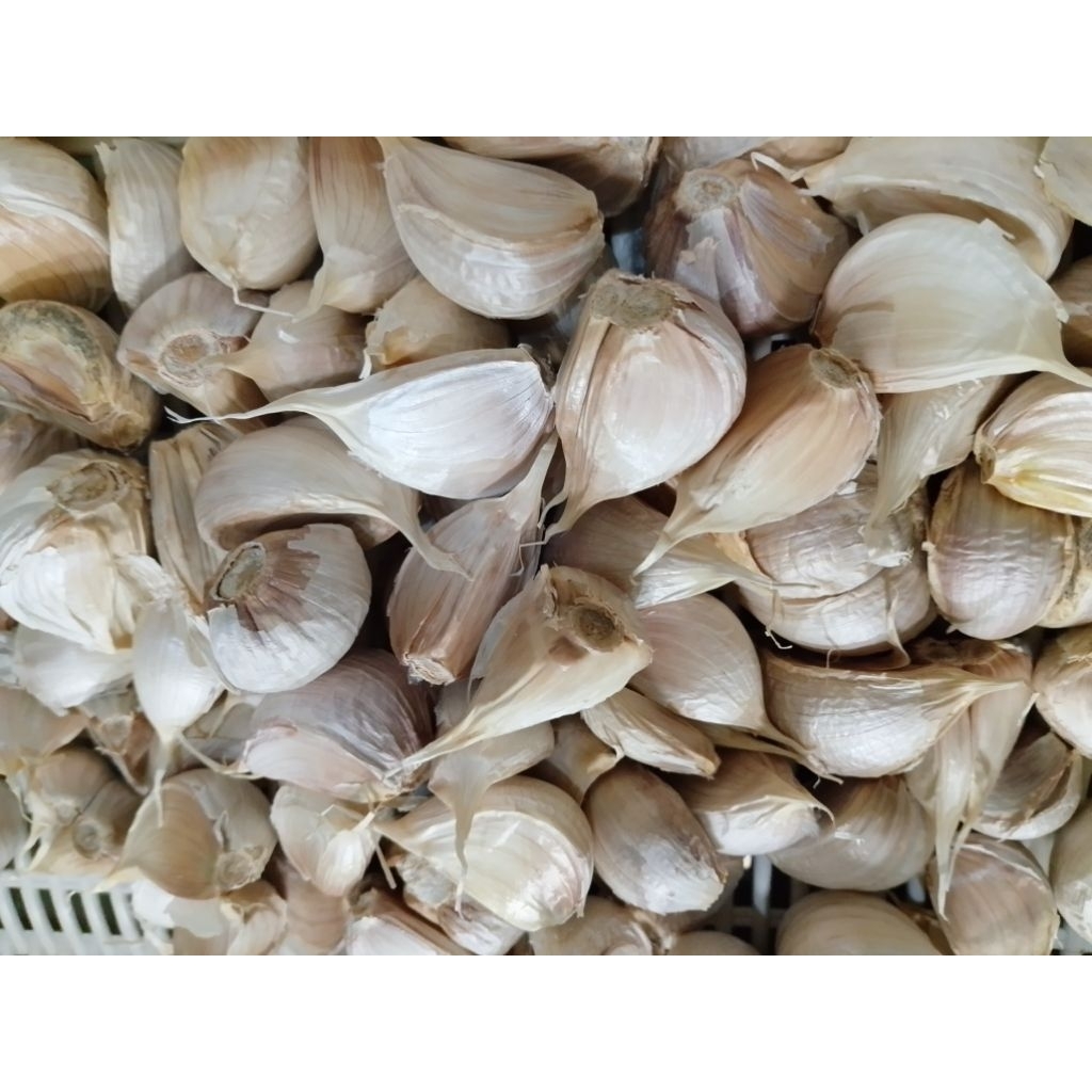 

Bawang Putih Kating Pilihan Fresh 1KG