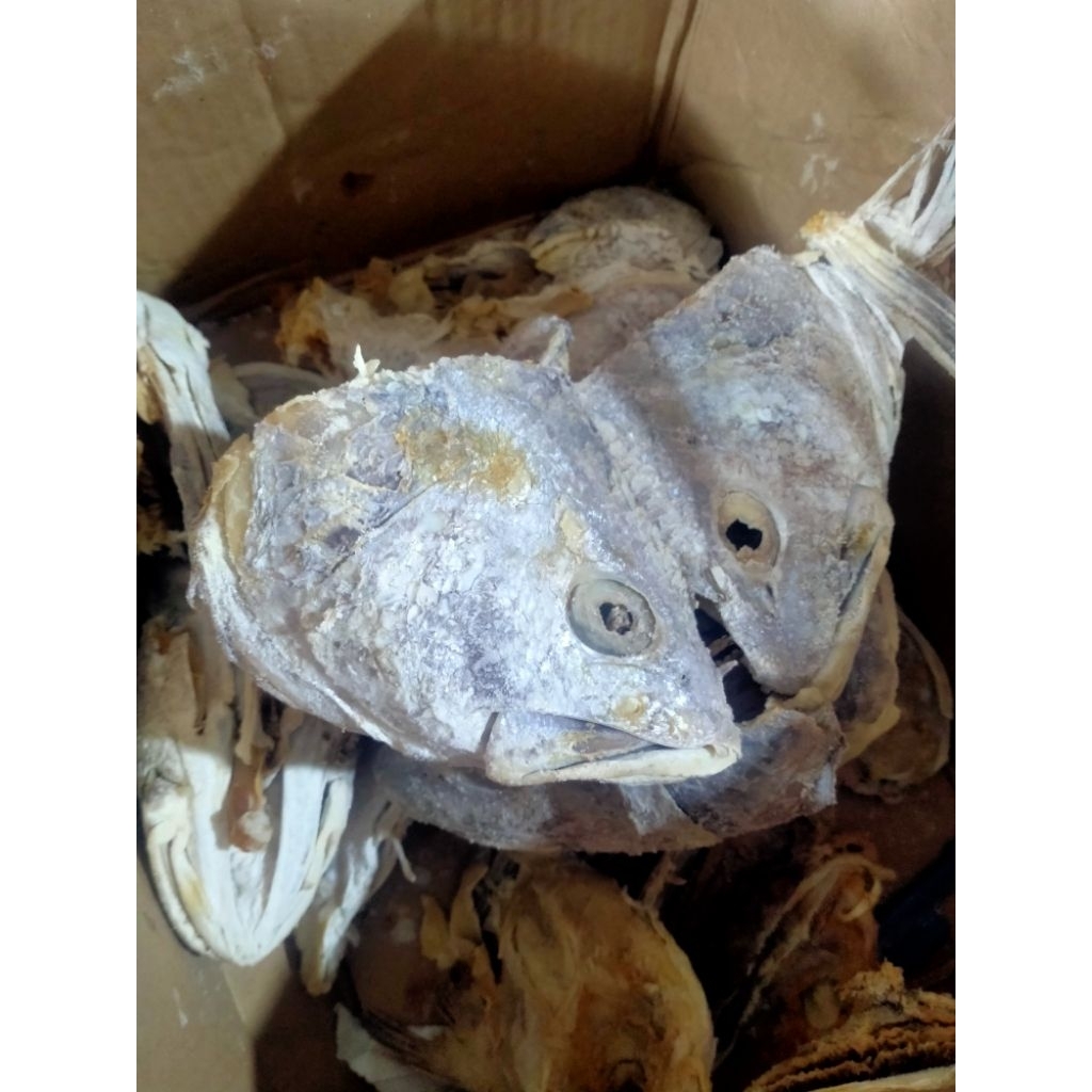 

kepala kakap super tebal daging/kepala kakap merah