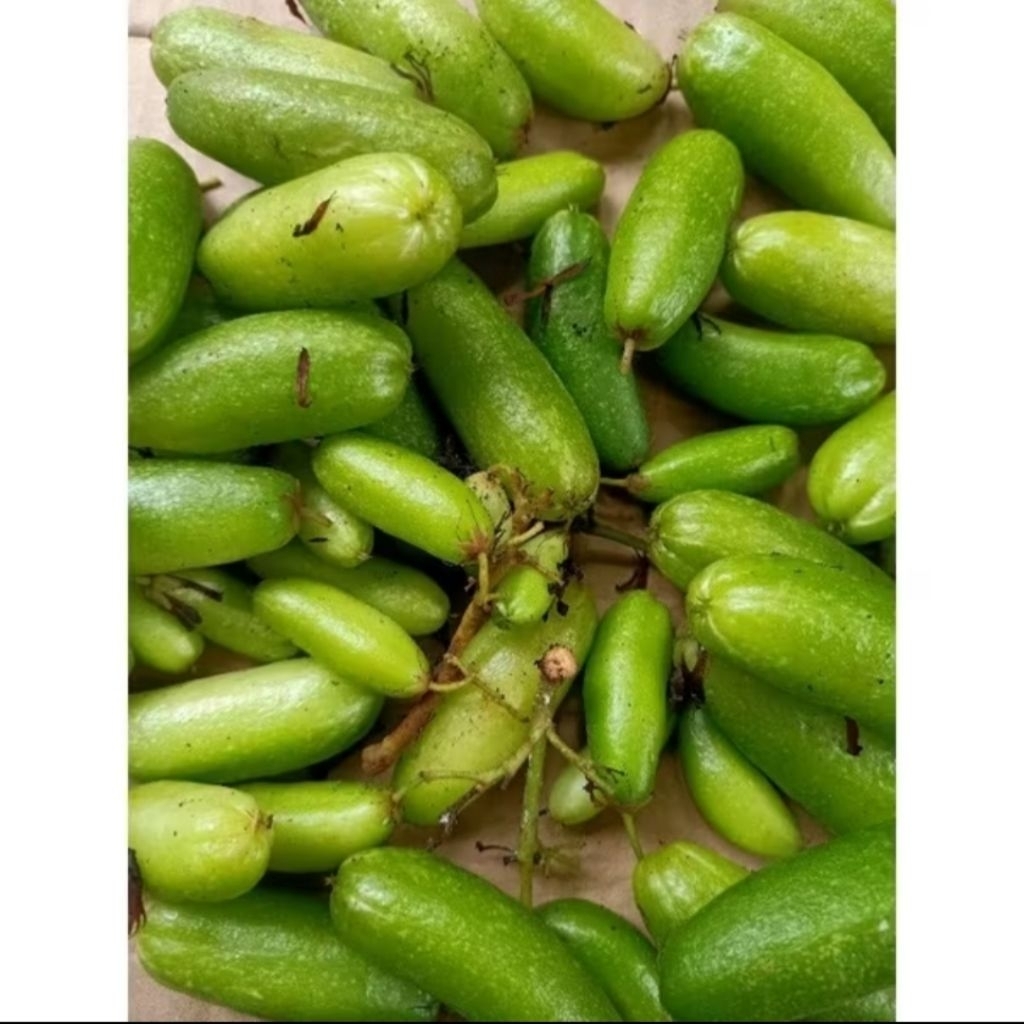 

Belimbing Wuluh Asli 200 Gram – Bumbu Dapur Tradisional