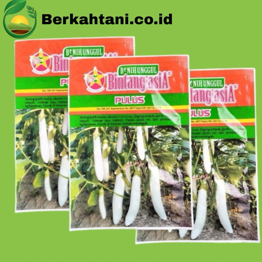 Pulus 10gr Benih Terong Putih Bintang Asia 100% Original Kania
