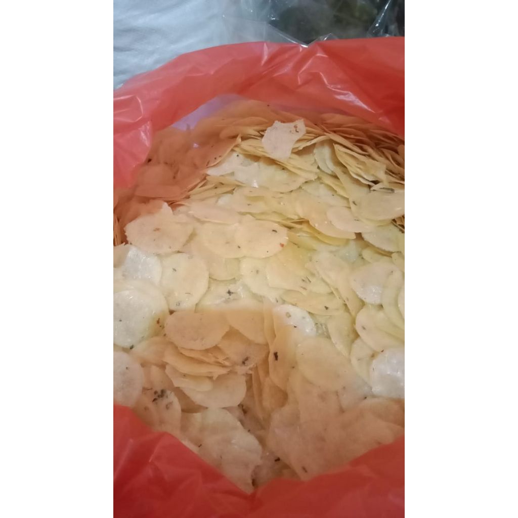 

Opak koin singkong (persi ngembang)