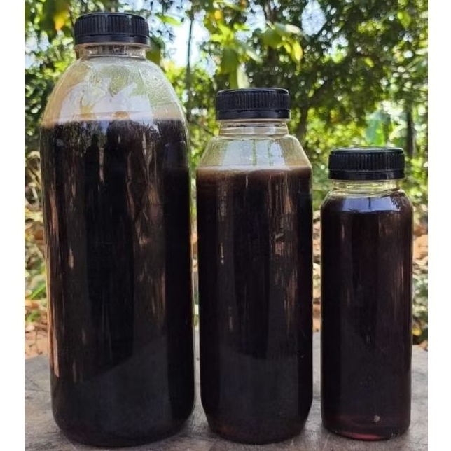 

1kg Madu pahit murni, madu hitam pahit, madu sialang asli, madu hutan liar, madu murni tanpa campuran, madu lebah liar, madu riau asli, madu sialang murni, madu asli mentah, madu alami antioksidan, madu premium asli, madu hutan murni