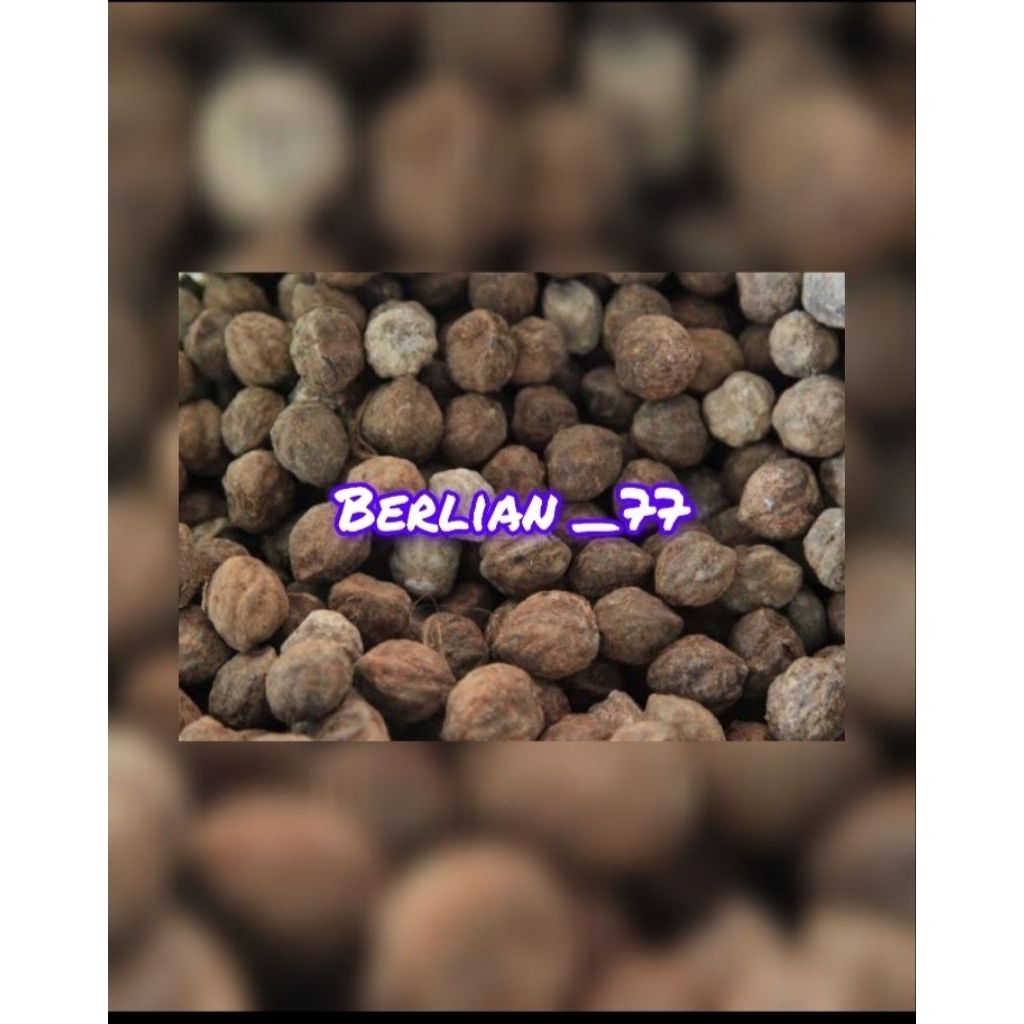 

kemiri bulat cangkang 1kg.