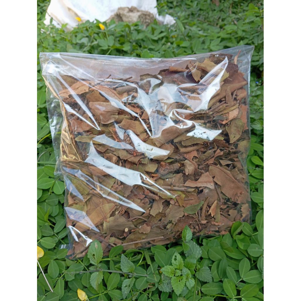 

BENALU KOPI KERING BENALU KERING 500 GRAM